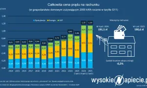 Koniec mrożenia cen prądu 2026: Rachunki w górę? Jak oszczędzić?