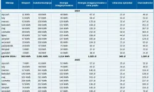 Jak dobrać magazyn energii do PV? Maksymalizuj zyski i autokonsumpcję