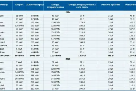 Jak dobrać magazyn energii do PV? Maksymalizuj zyski i autokonsumpcję